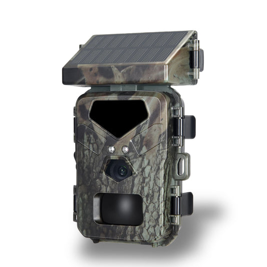 trail-cam